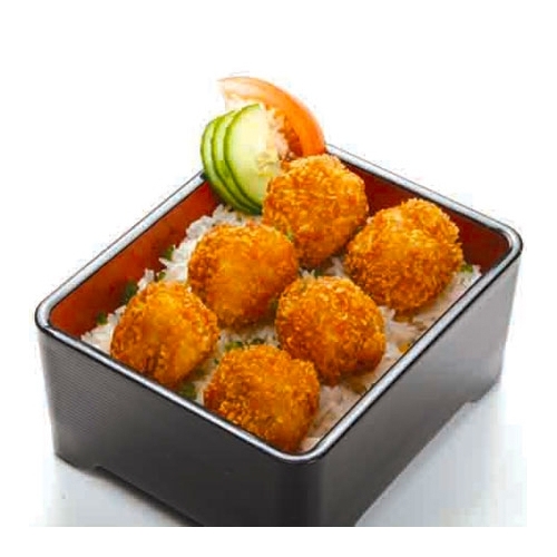 B5 Shake-katsu don （Poisson）