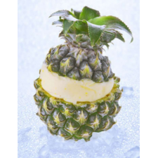 Ananas grive